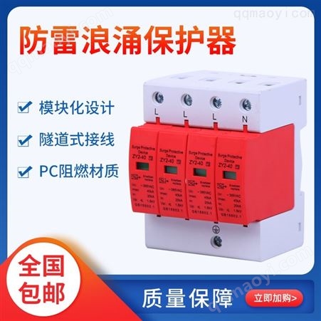 ZY2-40防雷浪涌保护器 spd浪涌保护器 浪涌后备保护器