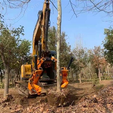 C80国槐树苗移树机 10公分苗圃树苗挖树球机 可用挖机带瓣式挖树机