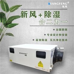 地下室除湿机厂家 杭州地下室除湿机氧风YF-Q50XFD 吊顶管道式新风除湿一体机系统   家用别墅地下室防潮湿干燥