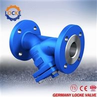 进口蒸汽过滤器