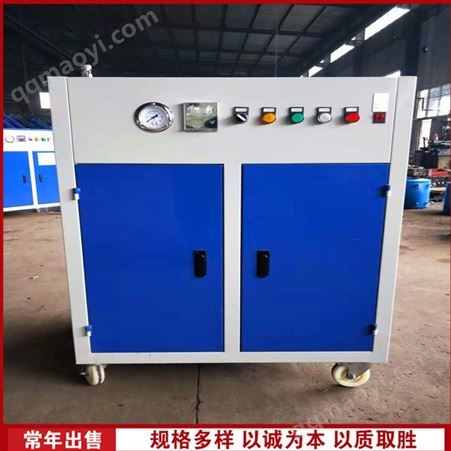 48kw不锈钢蒸汽锅炉 自动桥梁蒸汽发生器 出蒸汽快