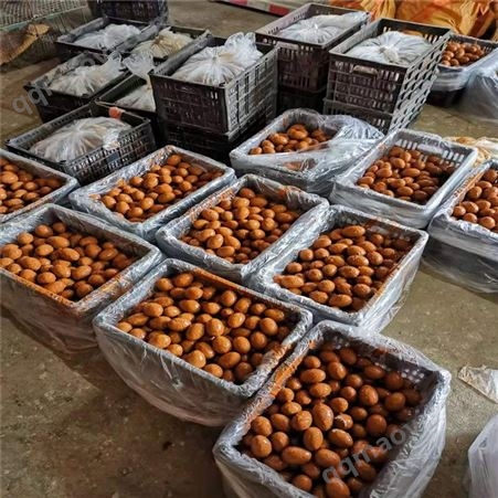 李师傅 咸鸭蛋特产 精品散装咸蛋 厂家定制