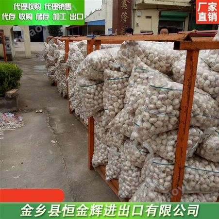 金乡大蒜出口厂家 大蒜冷库租赁 大蒜出口