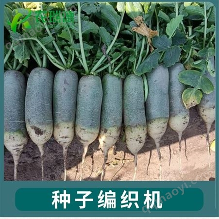 萝卜白菜种子播种机一穴一粒   农瑞德数控种子编织机NRD~07型
