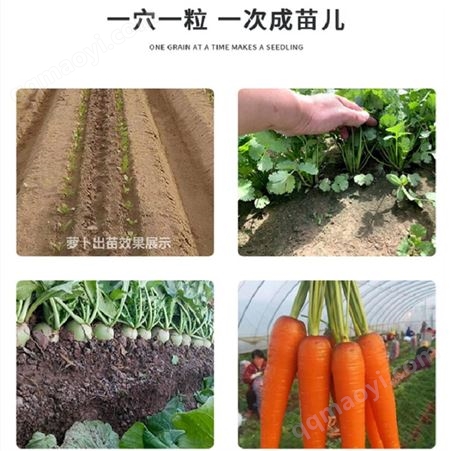 智能种子编织机 萝卜白菜绳带播种机 一穴一粒精量播种免间苗儿