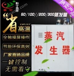 蒸发量100-300公斤燃气蒸汽发生器